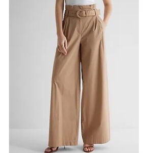 Express Super High Waisted Belted Paperbag Wide Leg Pant
